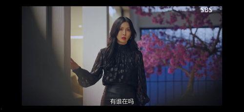 国产富姐调教,国产富姐的调教之路